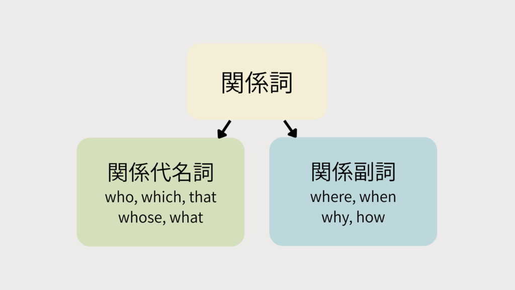 関係詞は、関係代名詞と関係副詞