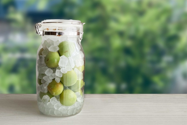 green plum syrup（梅シロップ）